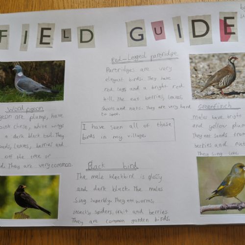 Field Notes